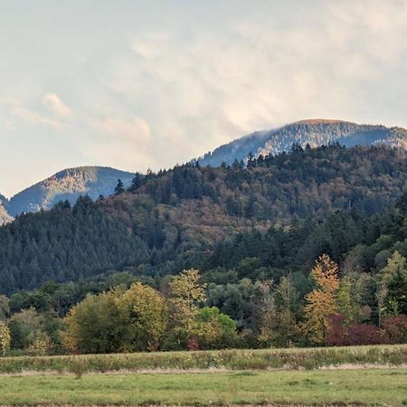 Ferienwohnung Belchenblick Staufen im Breisgau Bagian luar foto