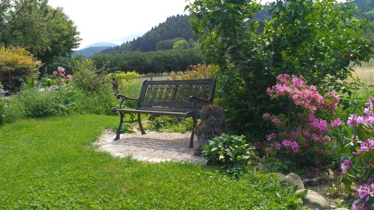 Ferienwohnung Belchenblick Staufen im Breisgau Bagian luar foto