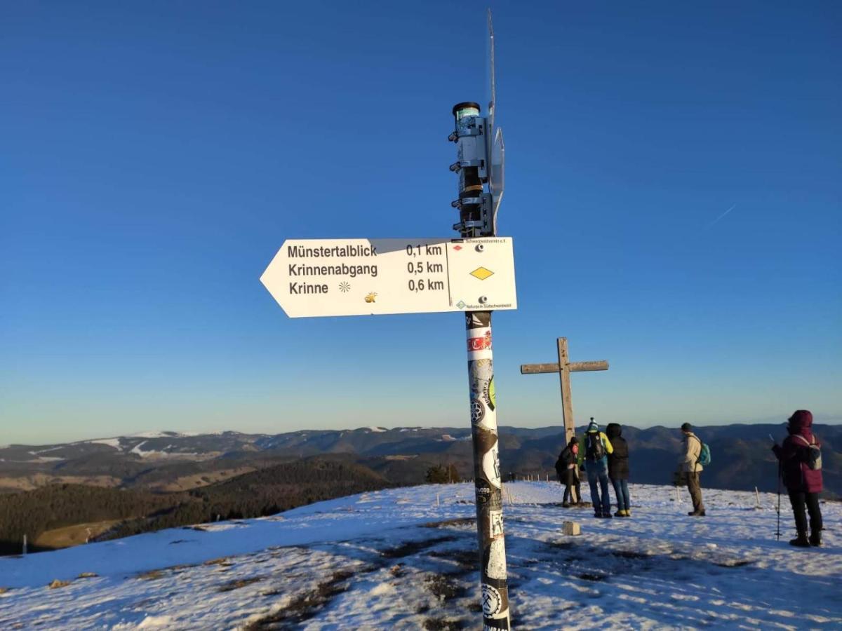 Ferienwohnung Belchenblick Staufen im Breisgau Bagian luar foto