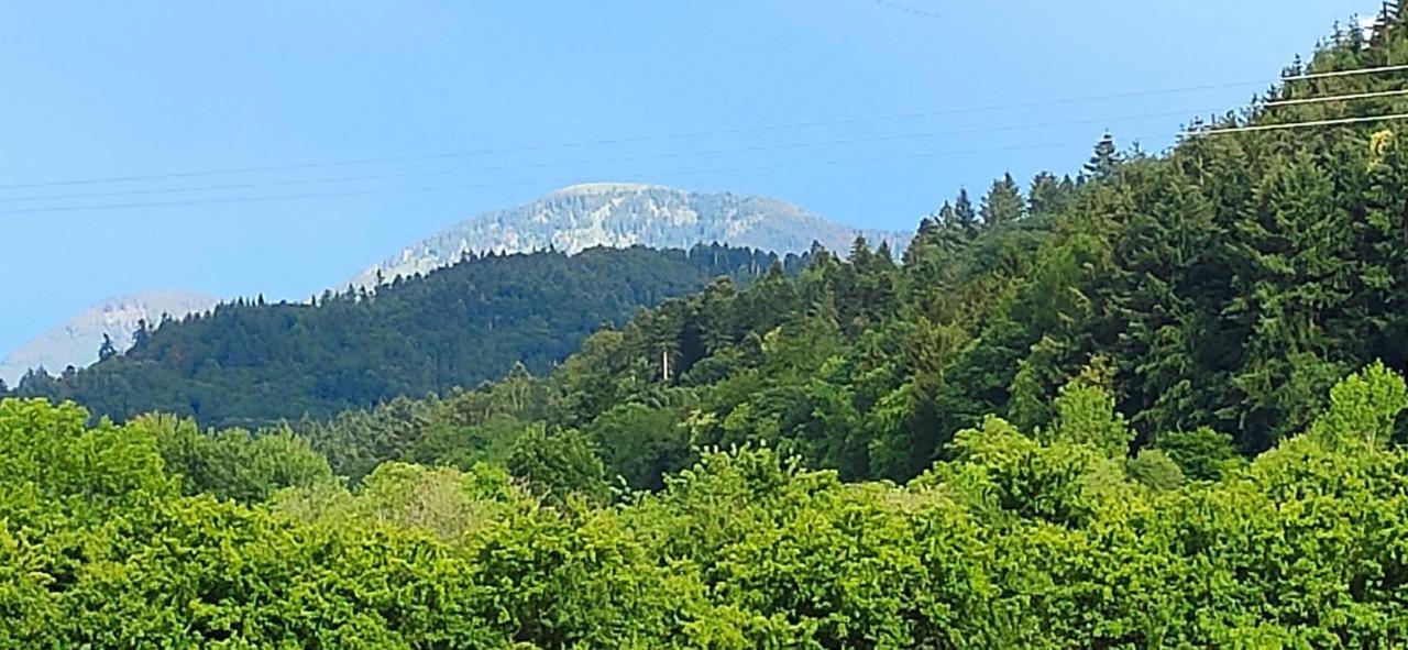 Ferienwohnung Belchenblick Staufen im Breisgau Bagian luar foto