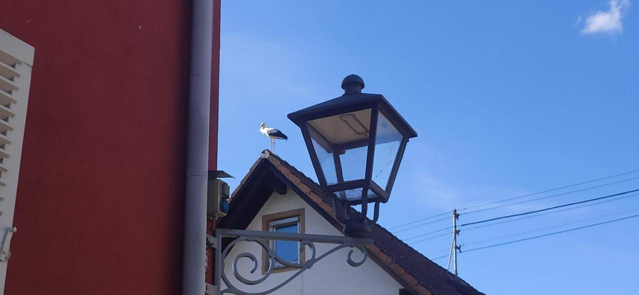 Ferienwohnung Belchenblick Staufen im Breisgau Bagian luar foto