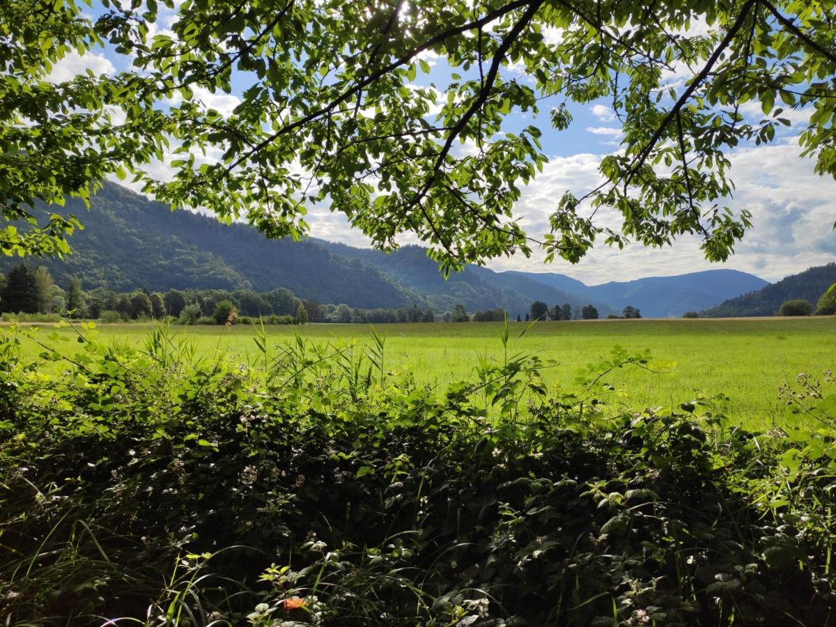 Ferienwohnung Belchenblick Staufen im Breisgau Bagian luar foto