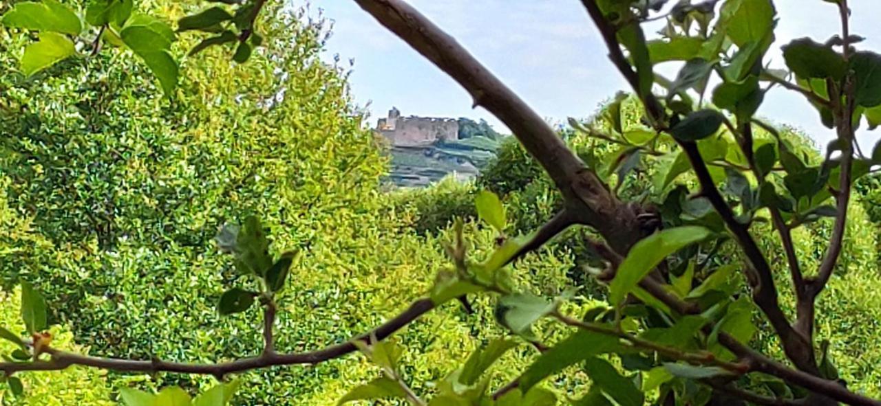 Ferienwohnung Belchenblick Staufen im Breisgau Bagian luar foto