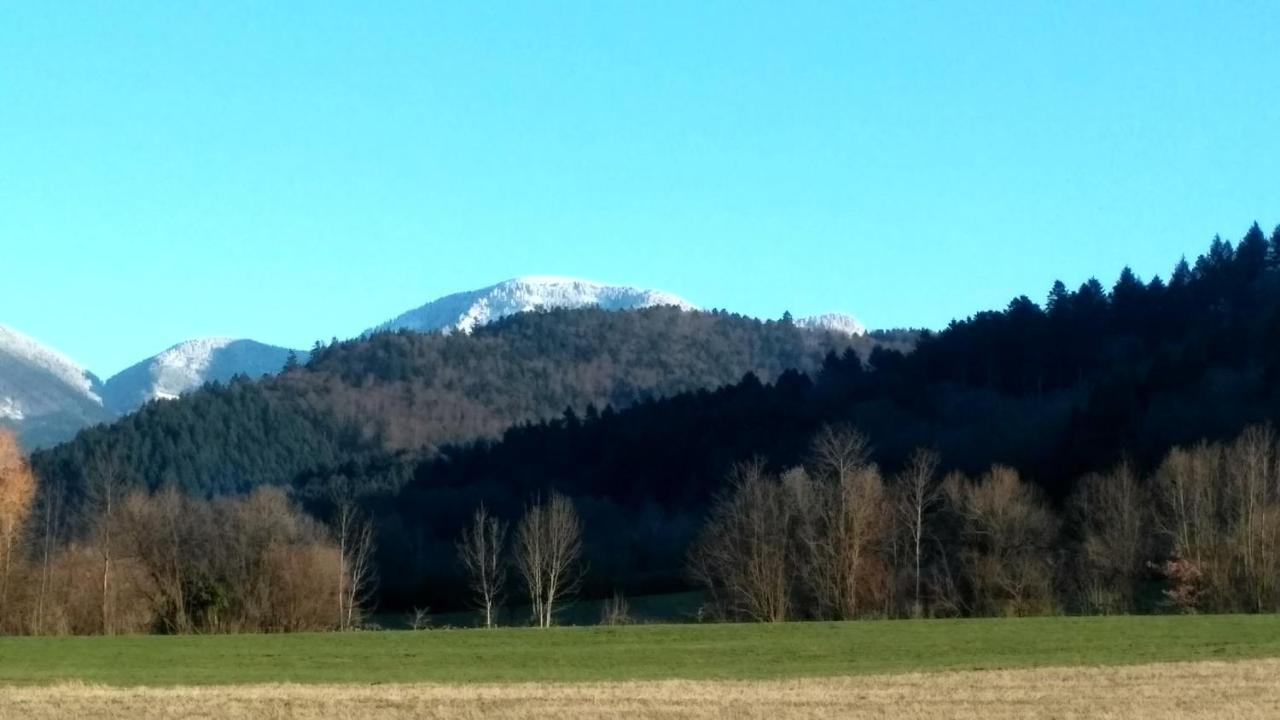 Ferienwohnung Belchenblick Staufen im Breisgau Bagian luar foto