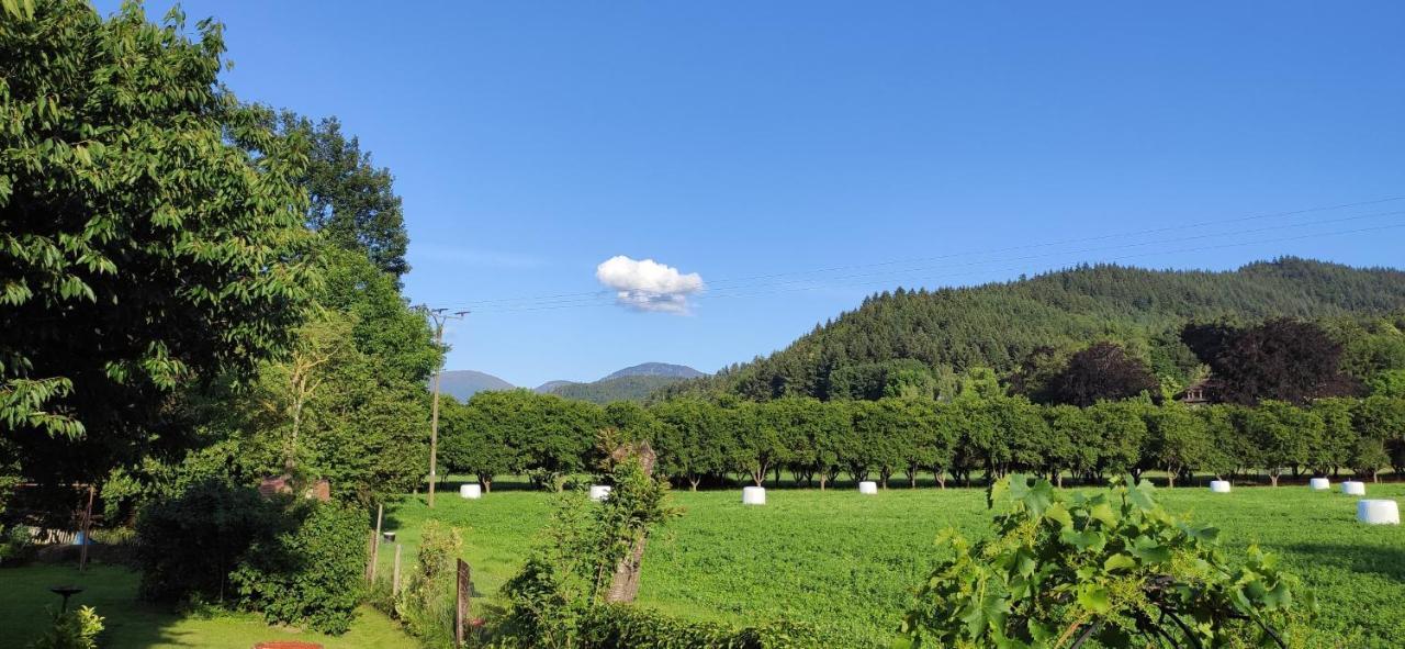 Ferienwohnung Belchenblick Staufen im Breisgau Bagian luar foto