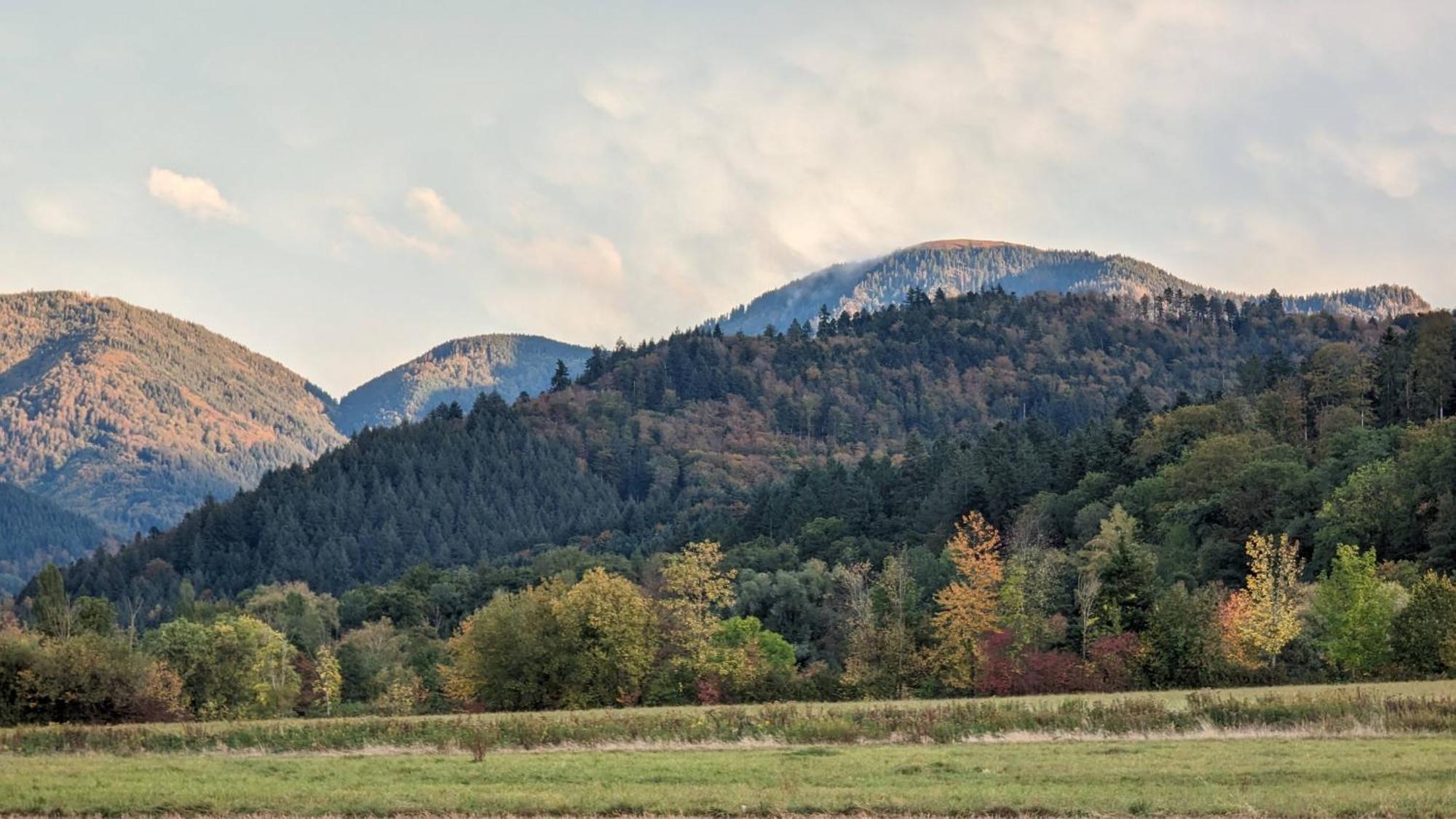 Ferienwohnung Belchenblick Staufen im Breisgau Bagian luar foto